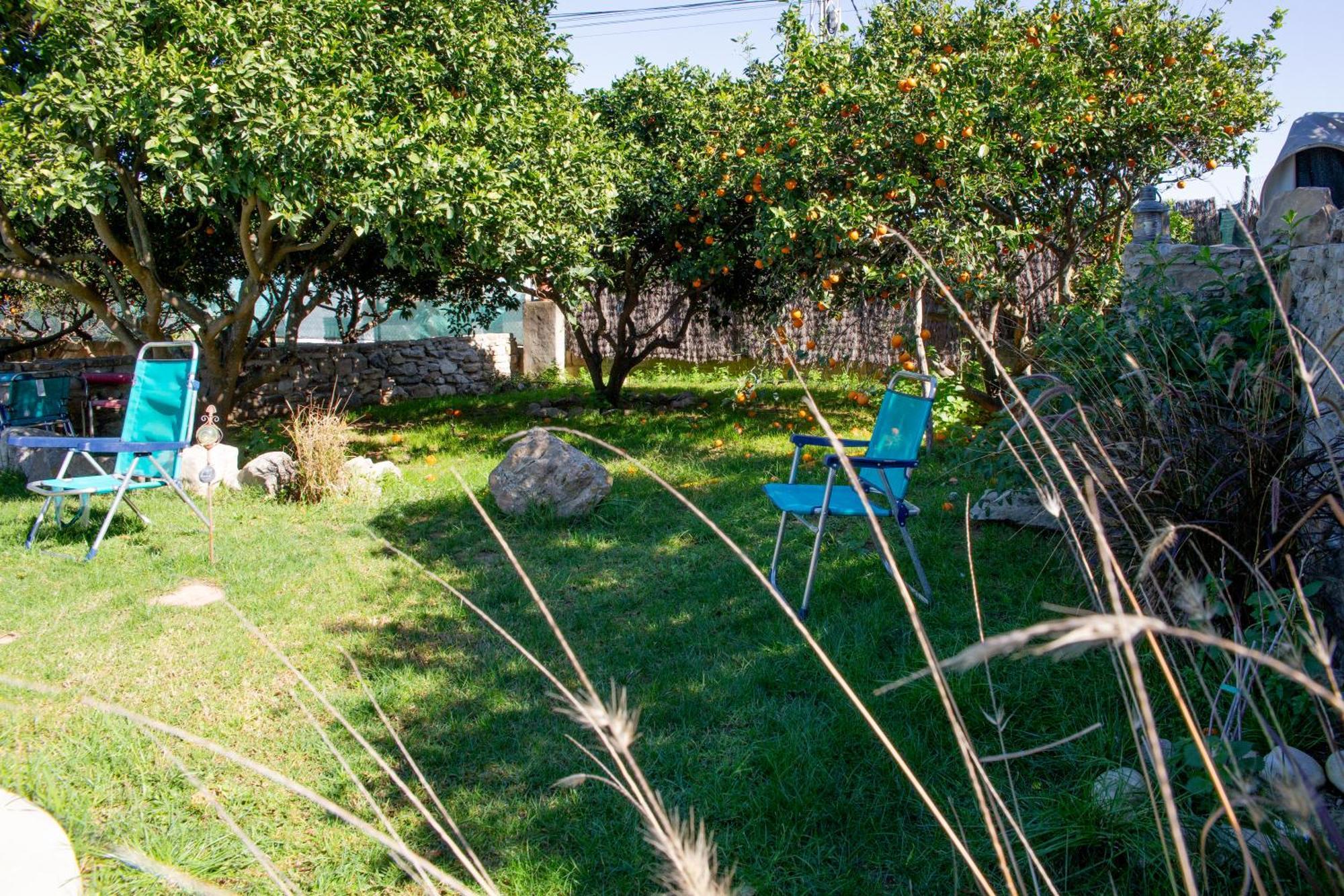 Вілла Casa Rural Con Piscina Y Jacuzzi En Conil De La Frontera Кадіс Екстер'єр фото